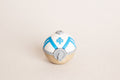 Hisuian Wing Ball