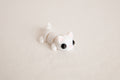 Flexi White Cat